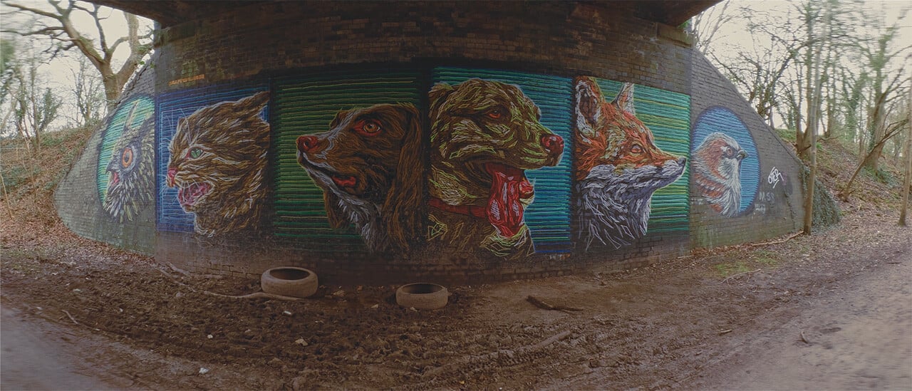 Ultra-wide