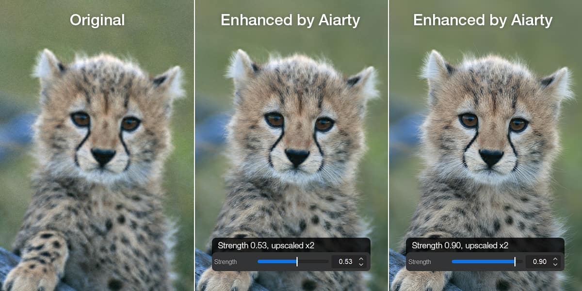 Aiarty Image Enhancer sharpen tool demonstrated on image of wild cat
