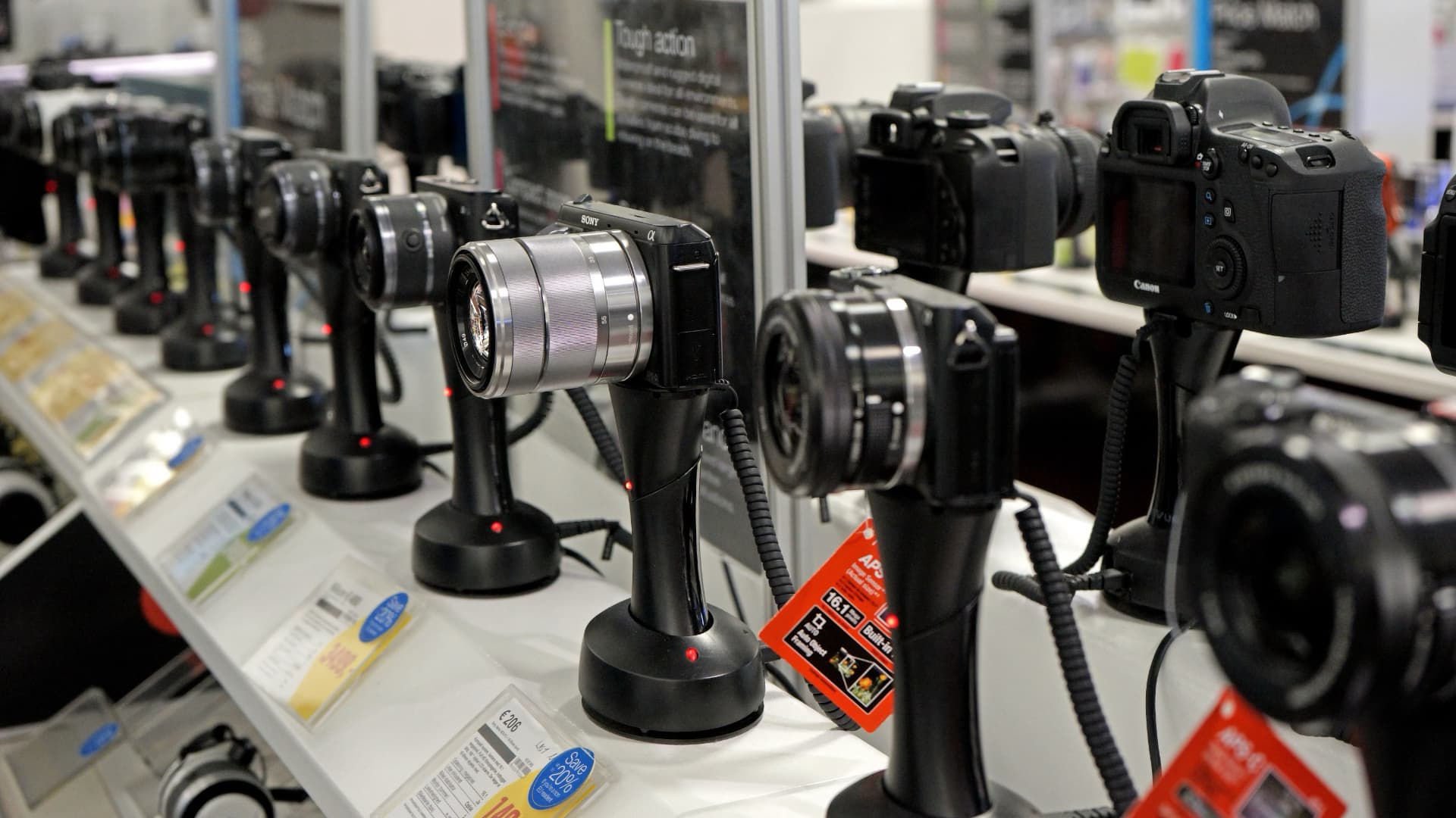 A line of Sony mirrorless cameras on display in a camera shop