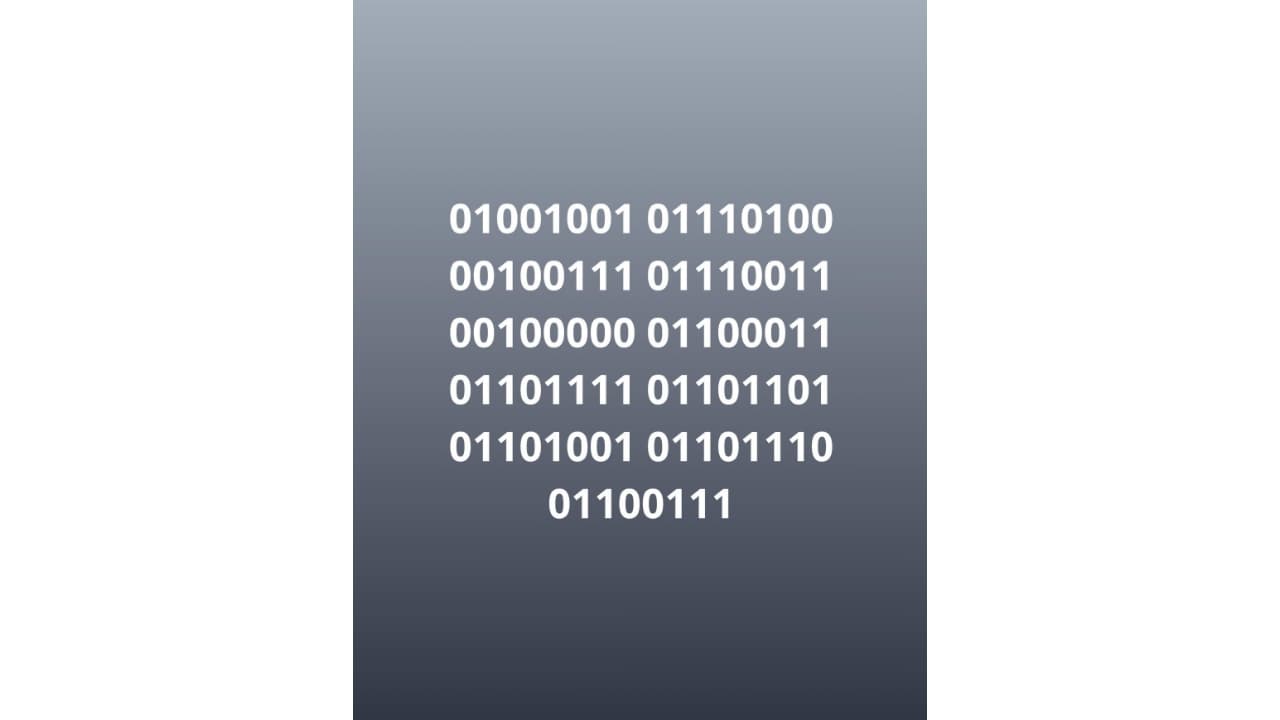 dji binary tease