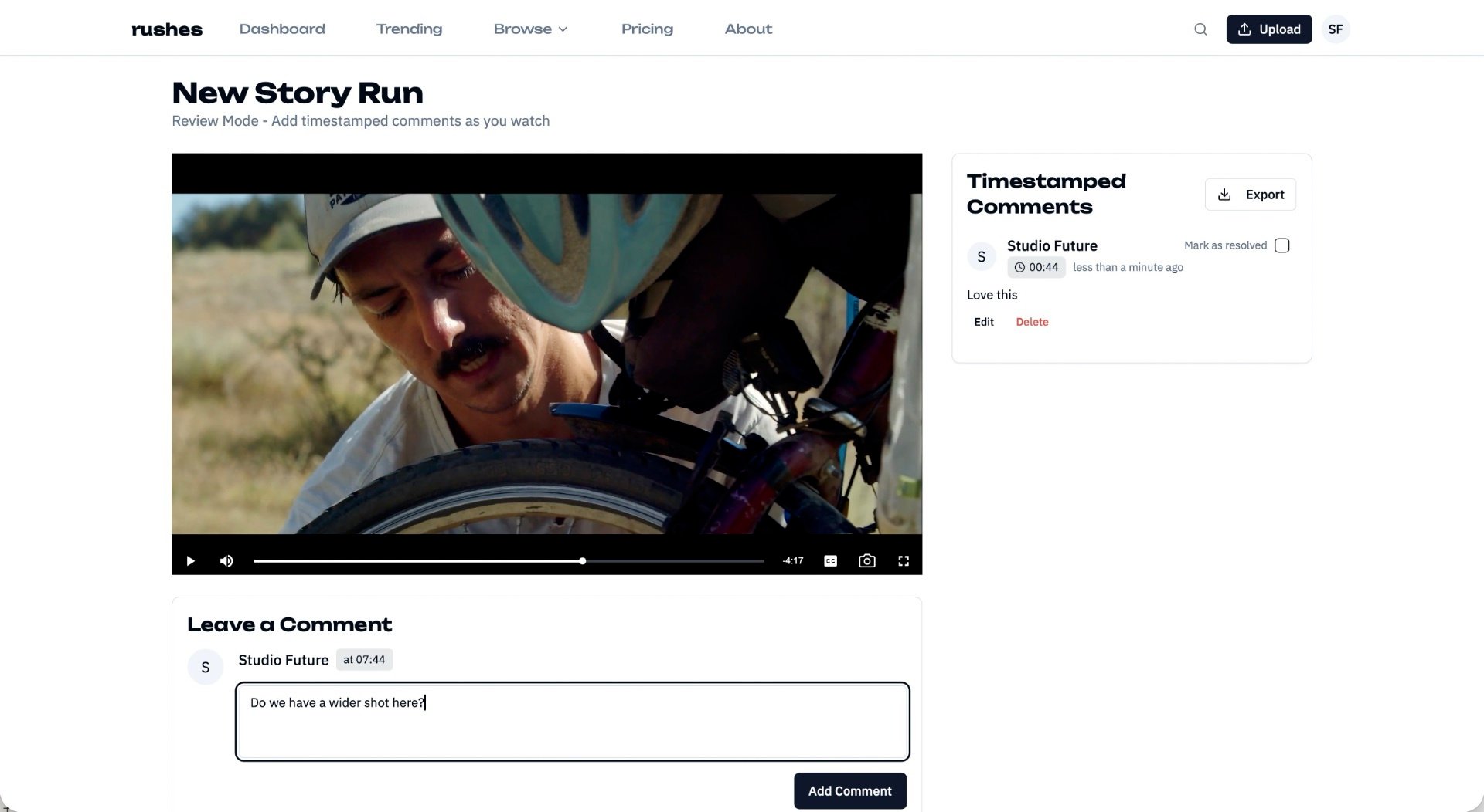 rushes - review tools