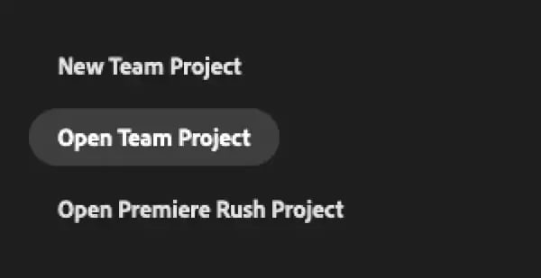 team projects 1