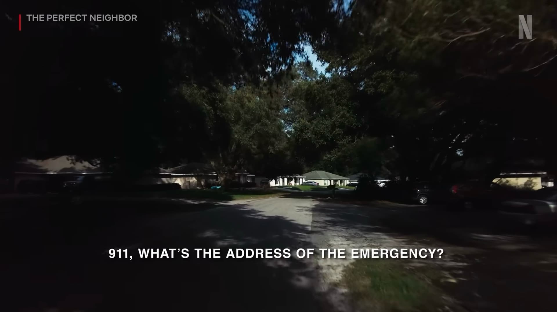 the perfect neighbor screenshot