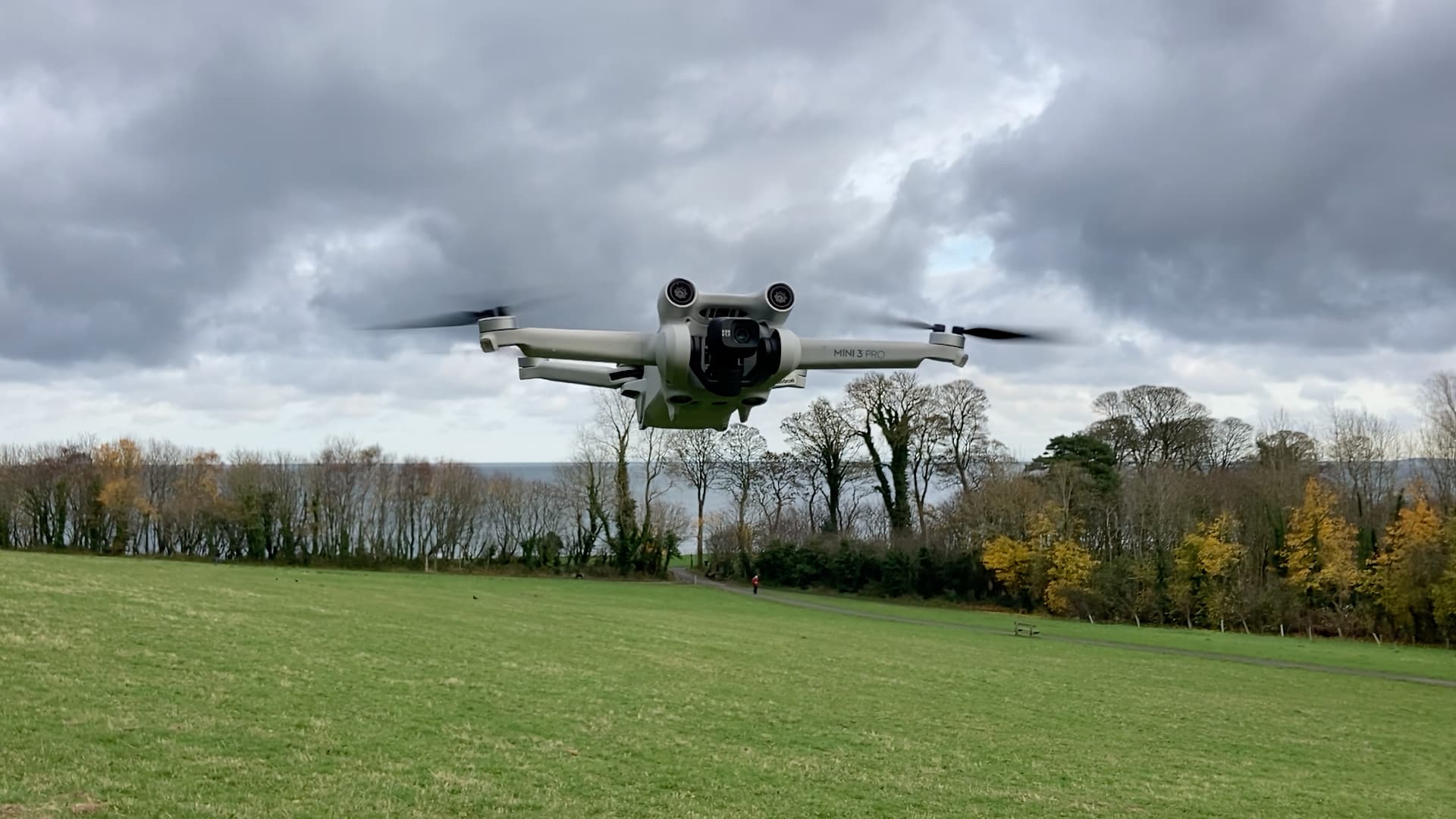 pebermynte morgenmad Rastløs Can a complete newbie (and his daughter) fly a drone?