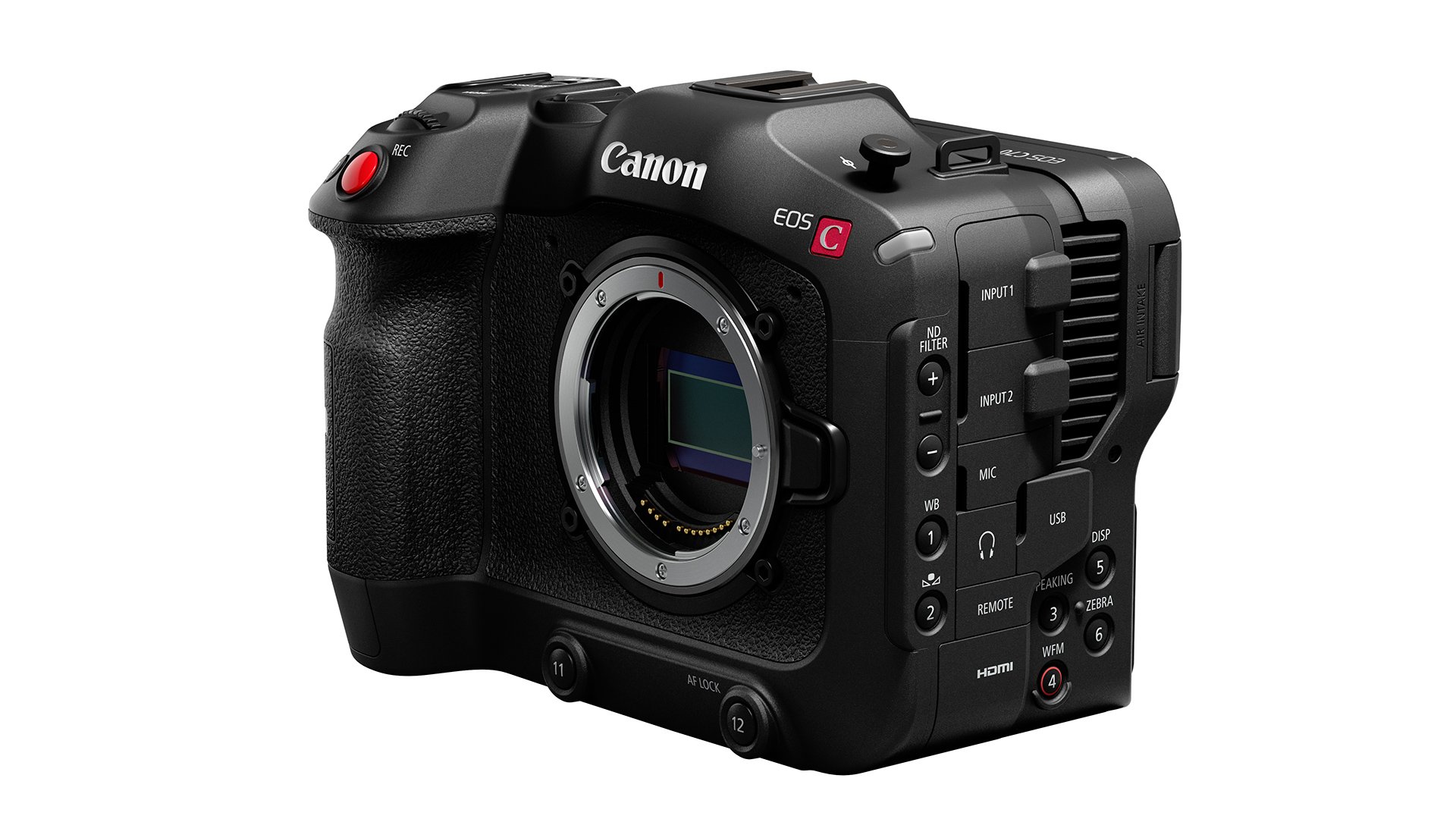 new canon cinema
