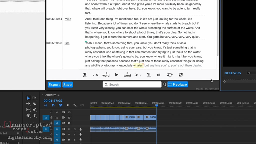 Digital Anarchy Transcriptive Rough Cutter.