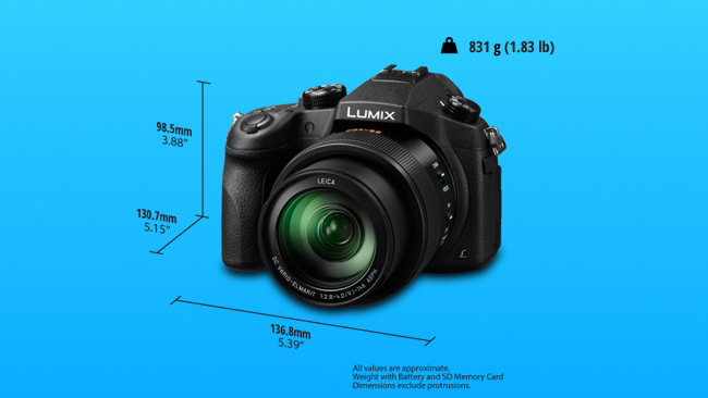 Is the 4K Panasonic FZ1000 a Bridge (camera) Far?