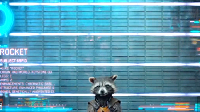 How A Talking Racoon Won The Internet