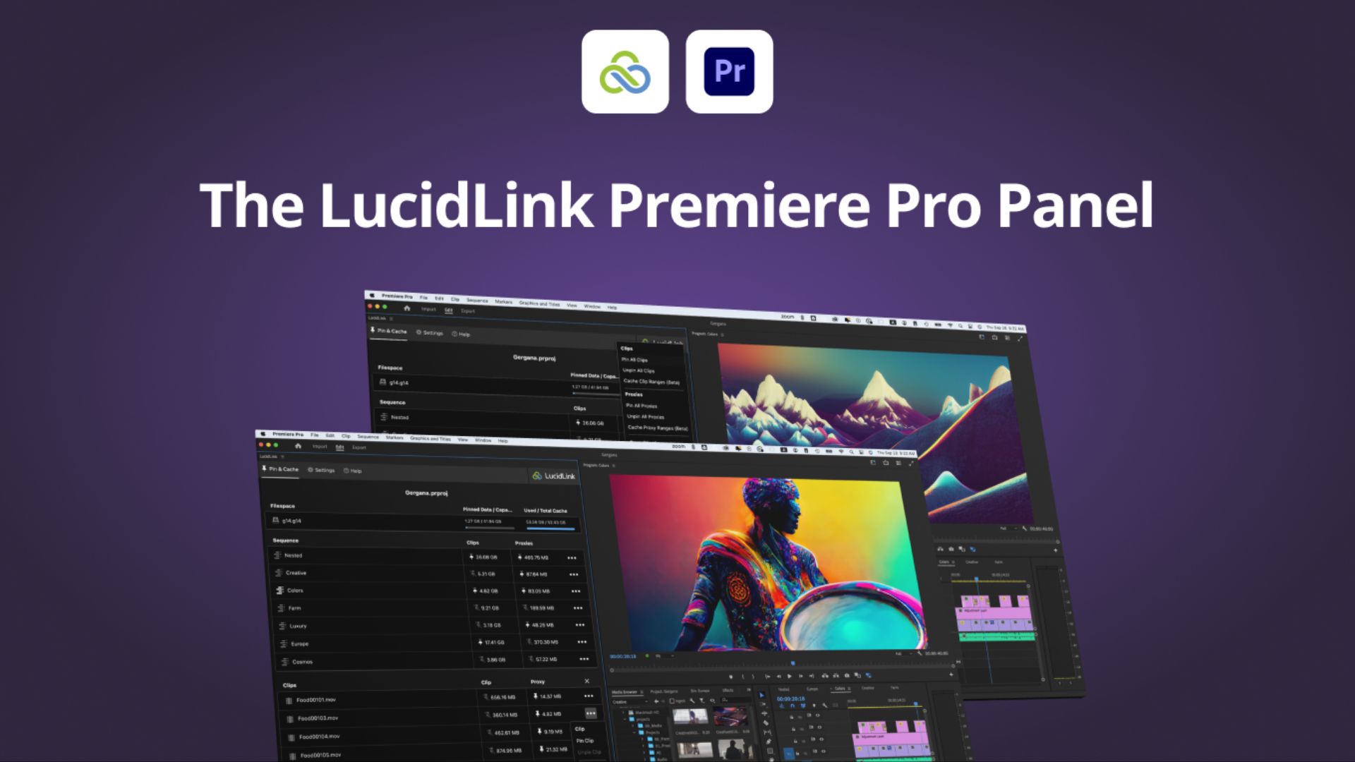 LucidLink for Adobe Premiere Pro