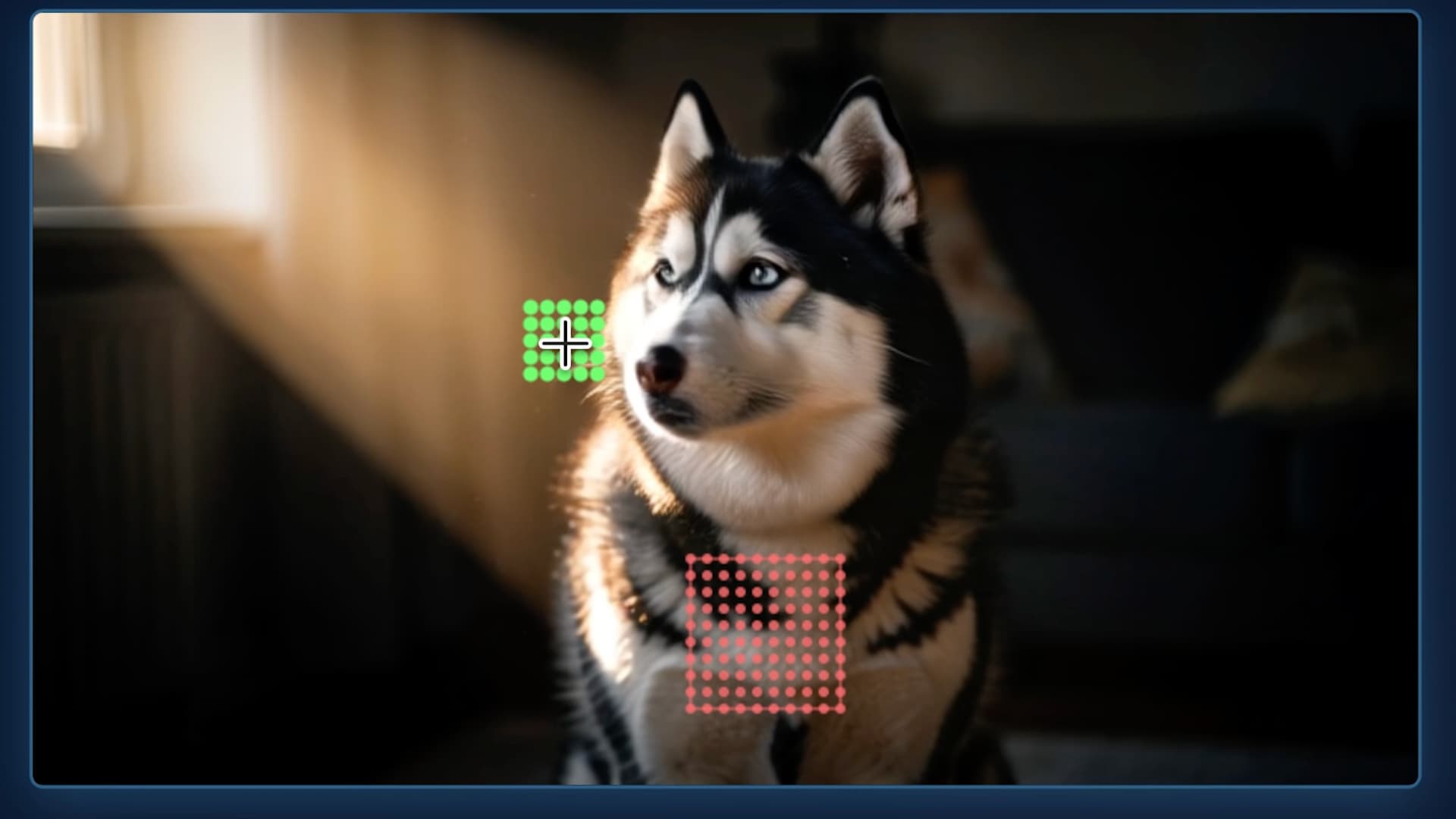 MotionStream allows you to direct movement, here moving the husky's nose to the left