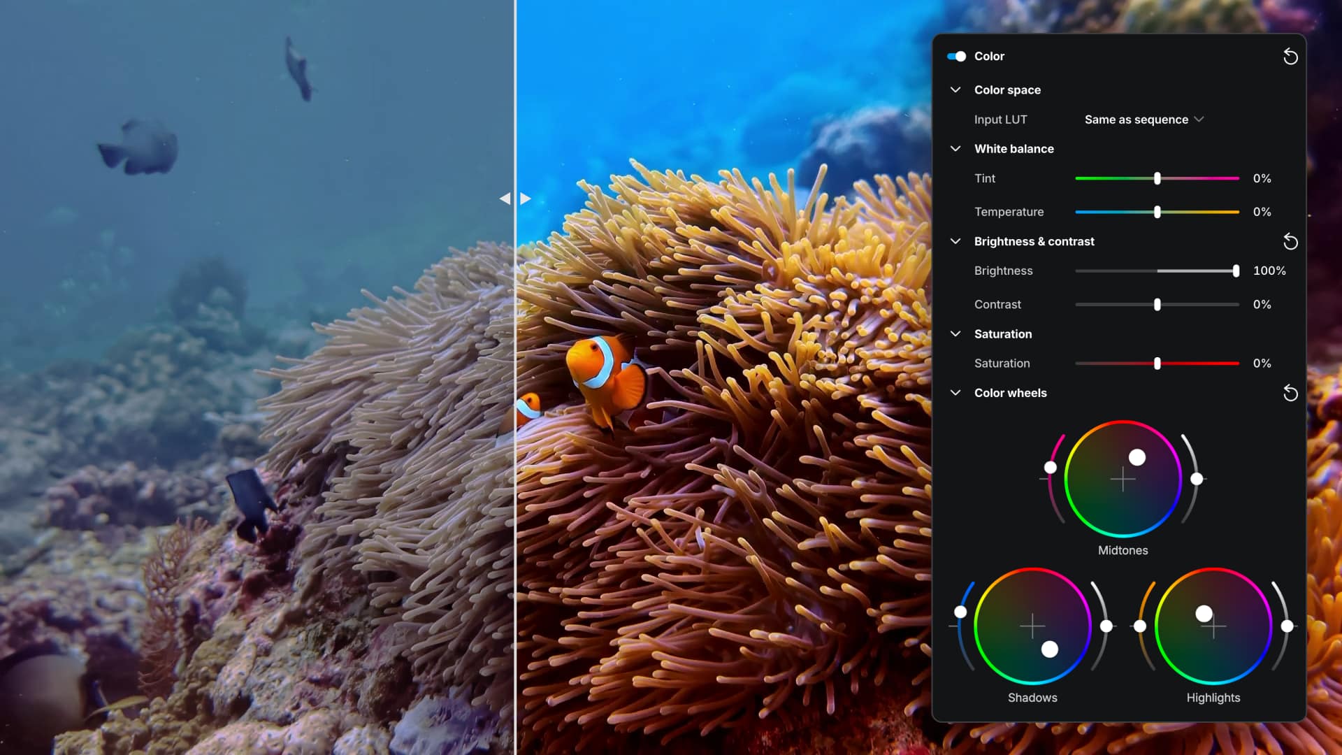 The elevate.io Color Wheels panel let editors adjust the color balance of shadows, midtones, and highlights independently