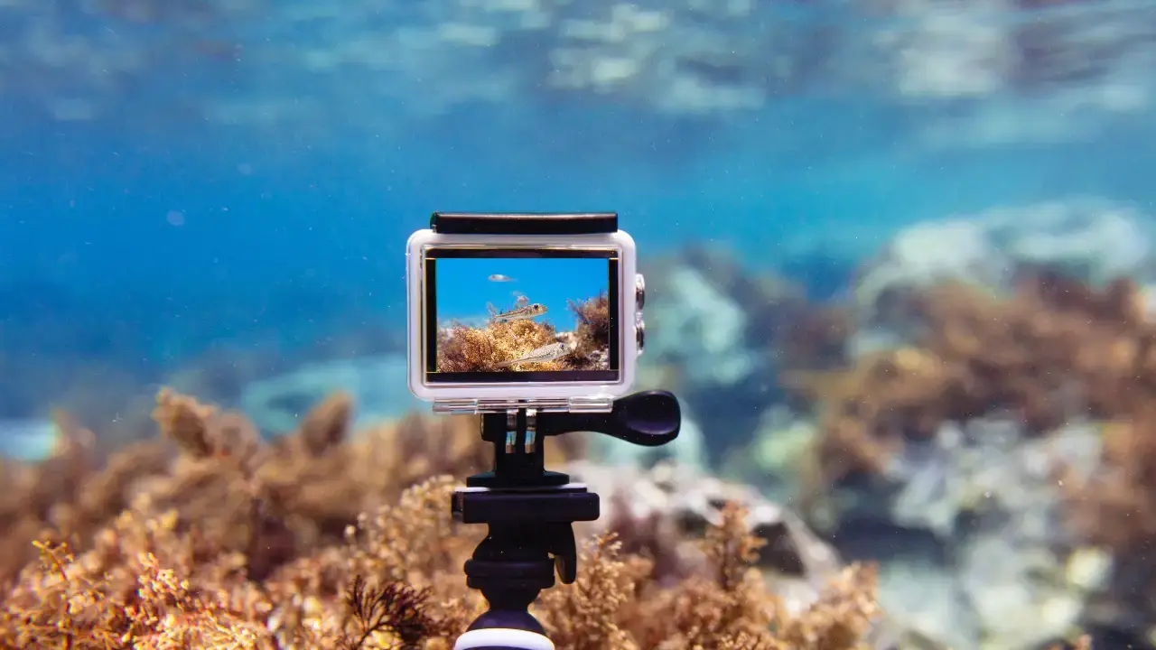 There are many options and considerations to think about before you take your camera underwater. Pic: 